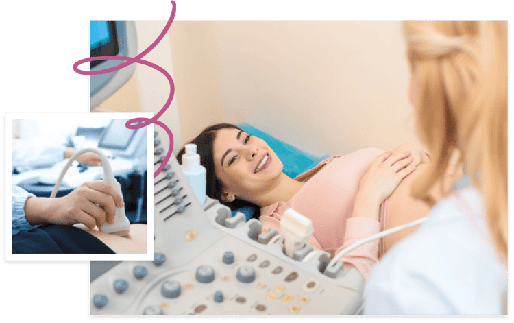 free-ultrasound-williston