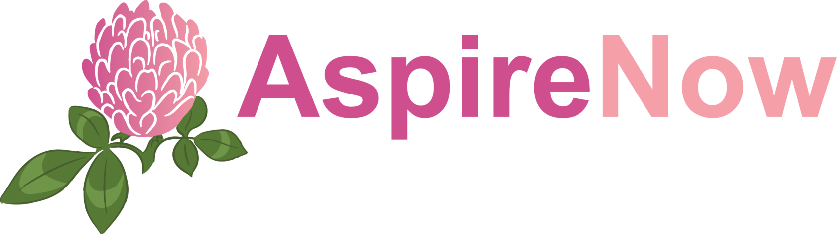 AspireNow Full Color Logo